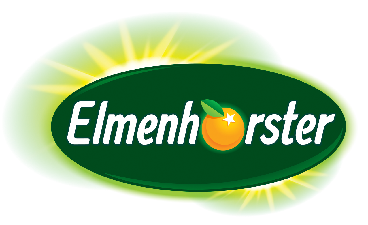 logo elmenhorster